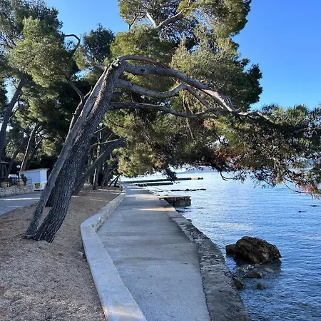 Campeggio Mobile Fjaka *