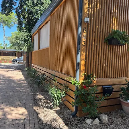 Mobile Fjaka 캠프장 *