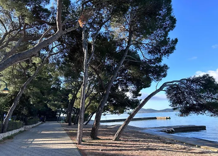 Mobile Fjaka * 비오그라드나모루