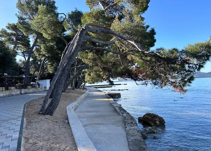 캠프장 Mobile Fjaka *