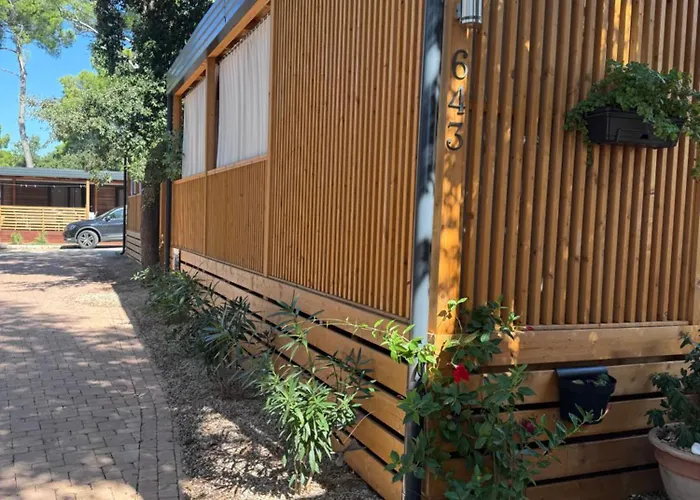 Mobile Fjaka 캠프장 *